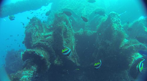 Subsea ROV mooring chain connections inspections by REMO.