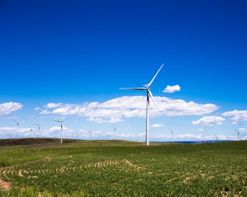 Wind turbines installed and maintained by REMO in an open field on a sunny day.